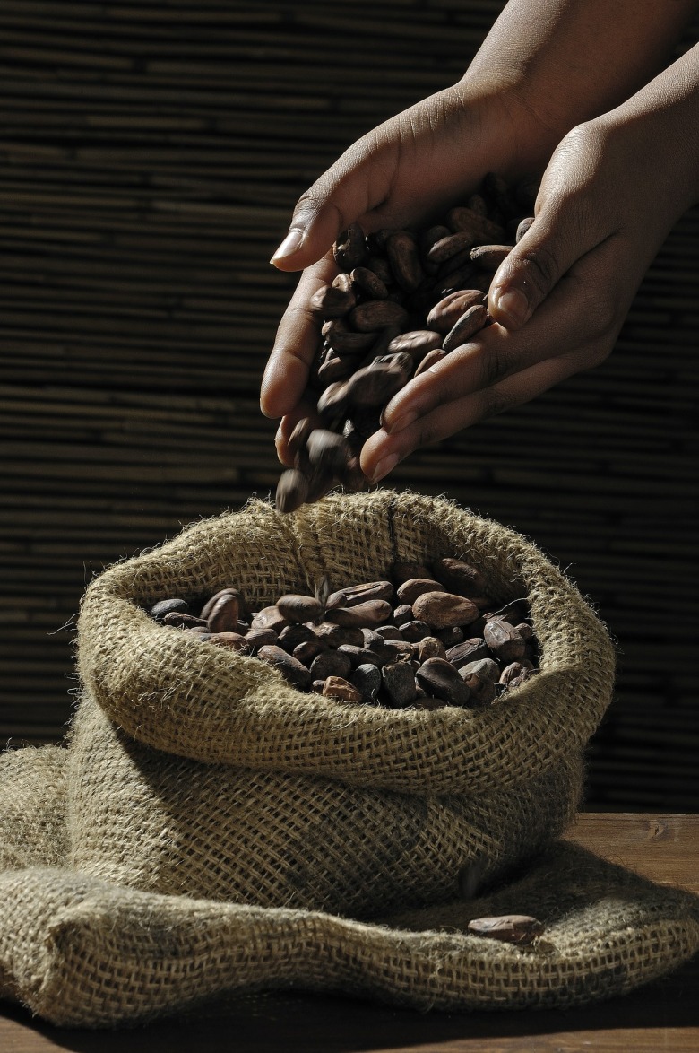 cocoa-beans-499970_1920.jpg